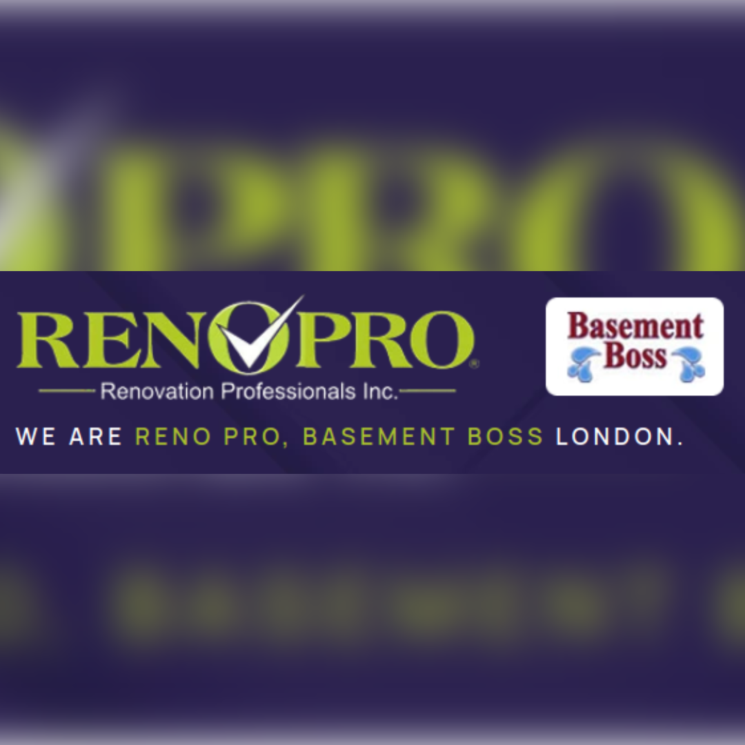 myrenopro
